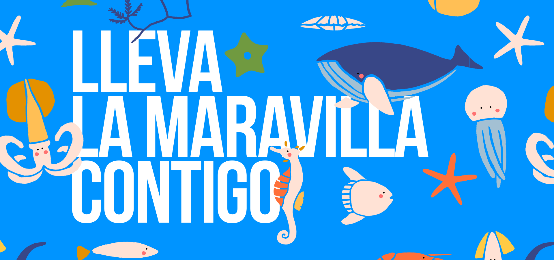 Lleva la maravilla contigo